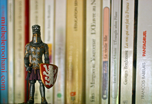 knight books chevalier michele roohani