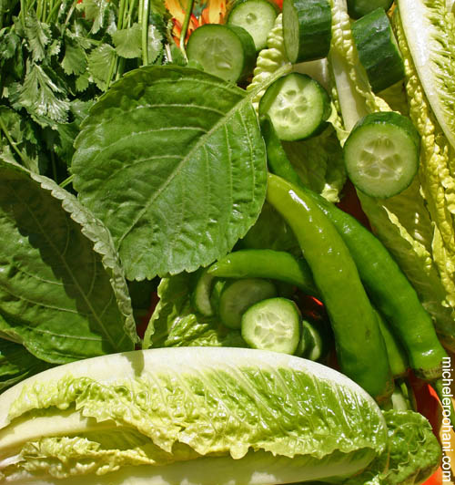 green vegetables michele roohani