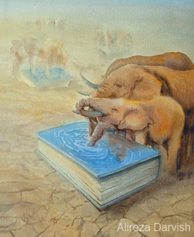 elephant book darvish michele roohani